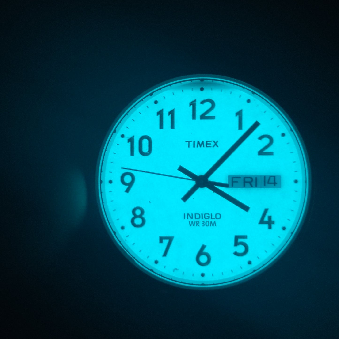 Vintage Timex Easy Reader Day/Date Mens Quartz Watch New Italian Leather Strap w/ Stainless Steel Deployment Clasp