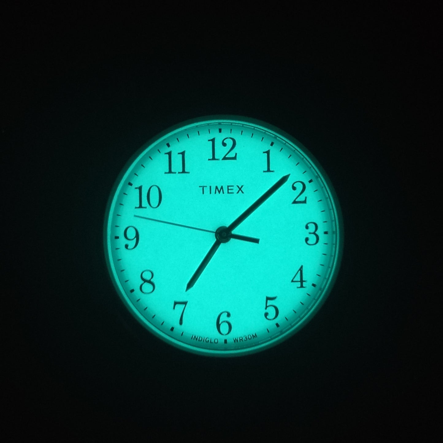 Vintage 1995 Timex Indiglo Easy Reader 30mm Women's Quartz Watch Genuine Leather Strap