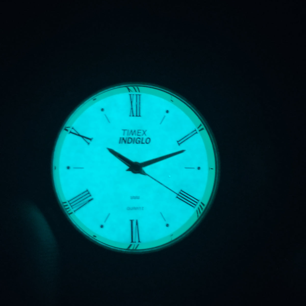 Vintage 1993 Timex Indiglo 32mm Women's Quartz Watch Crocodile Embossed Leather