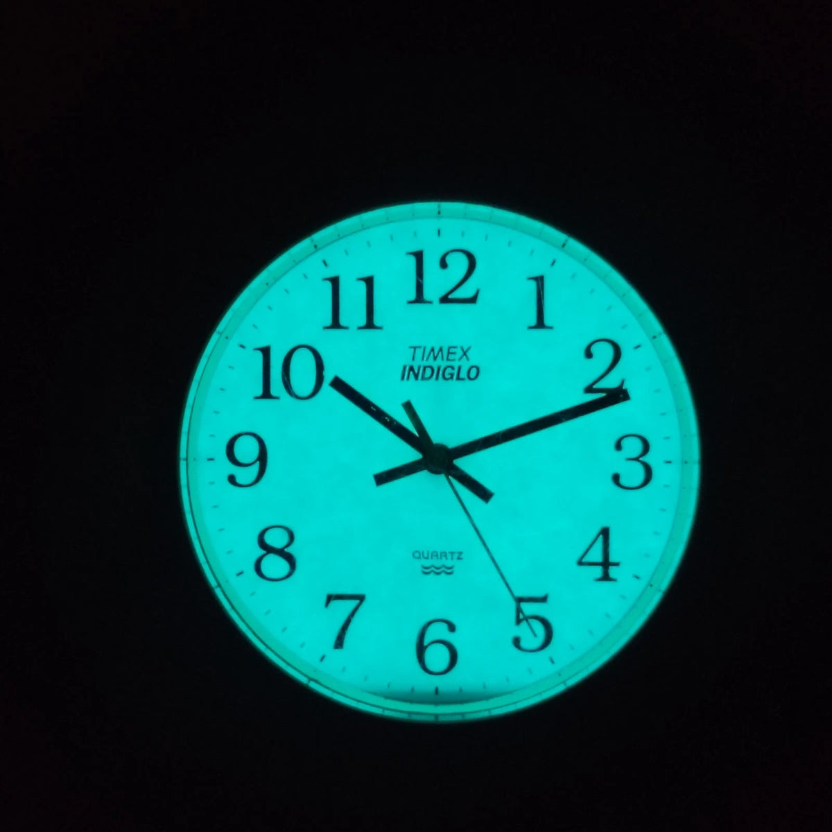 Vintage 1998 Timex Easy Reader Indiglo 34mm Mens Quartz Watch New Strap Restored